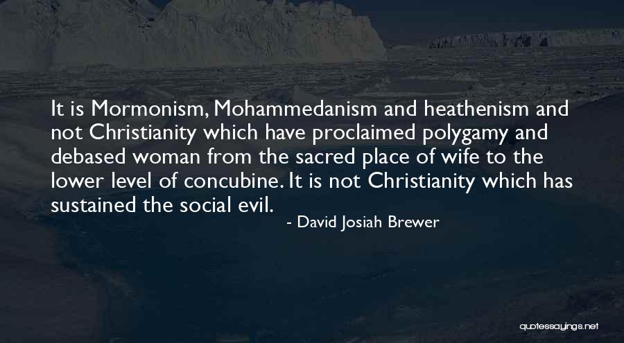 Debased Quotes By David Josiah Brewer Debased Quotes By David Josiah Brewer