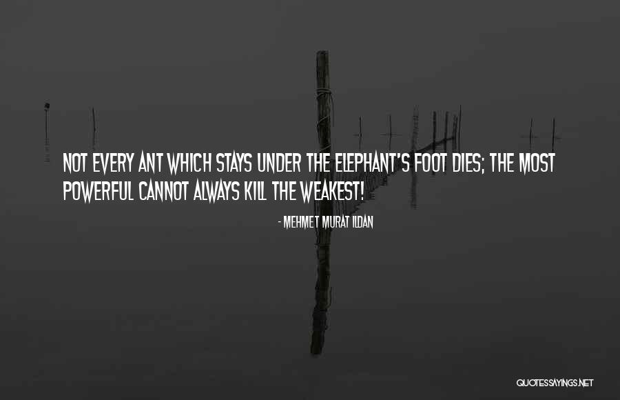 Debate In English Quotes By Mehmet Murat Ildan Debate In English Quotes By Mehmet Murat Ildan