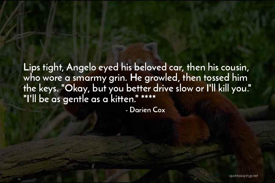 Debating With Idiots Quotes By Darien Cox Debating With Idiots Quotes By Darien Cox