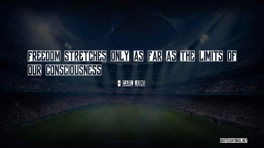 Debauchee Barrier Quotes By Carl Jung Debauchee Barrier Quotes By Carl Jung