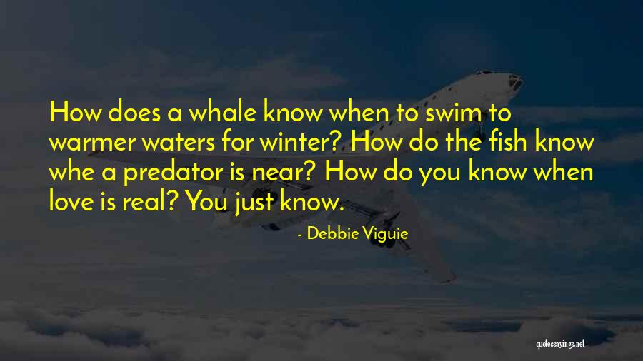 Debbie Quotes By Debbie Viguie