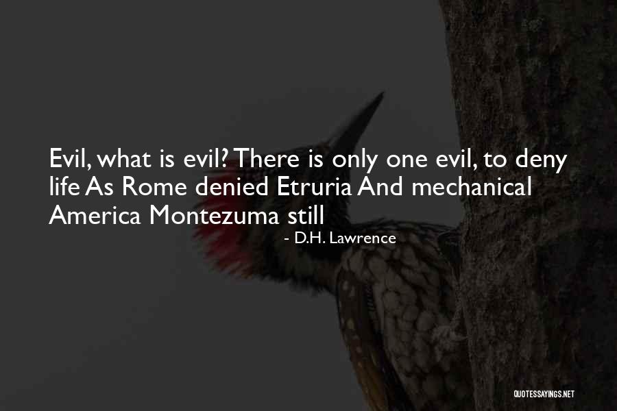 Debecker Keukens Quotes By D.H. Lawrence Debecker Keukens Quotes By D.H. Lawrence