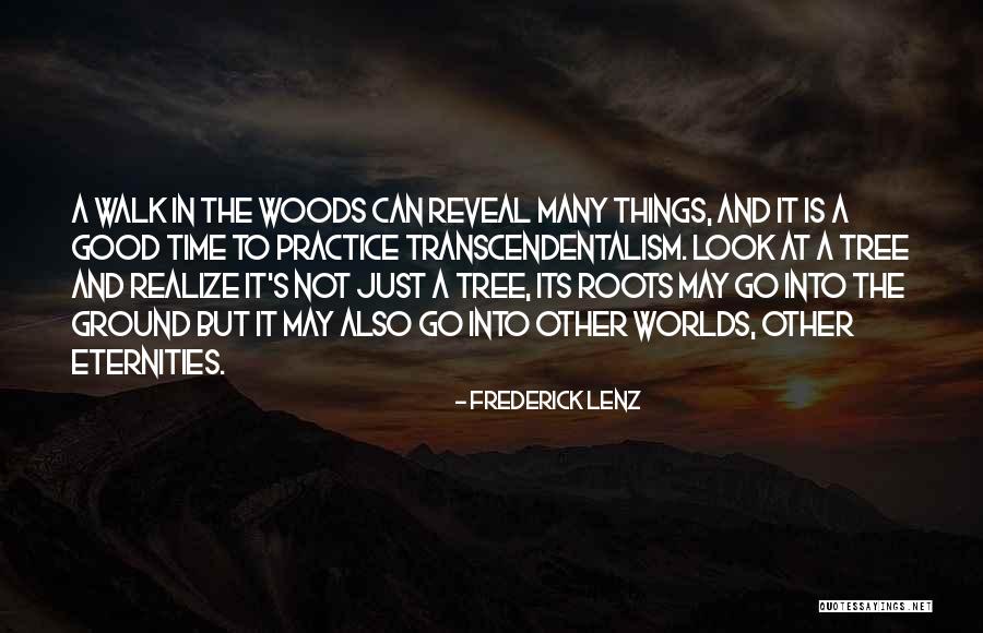 Debelius Fairy Quotes By Frederick Lenz Debelius Fairy Quotes By Frederick Lenz