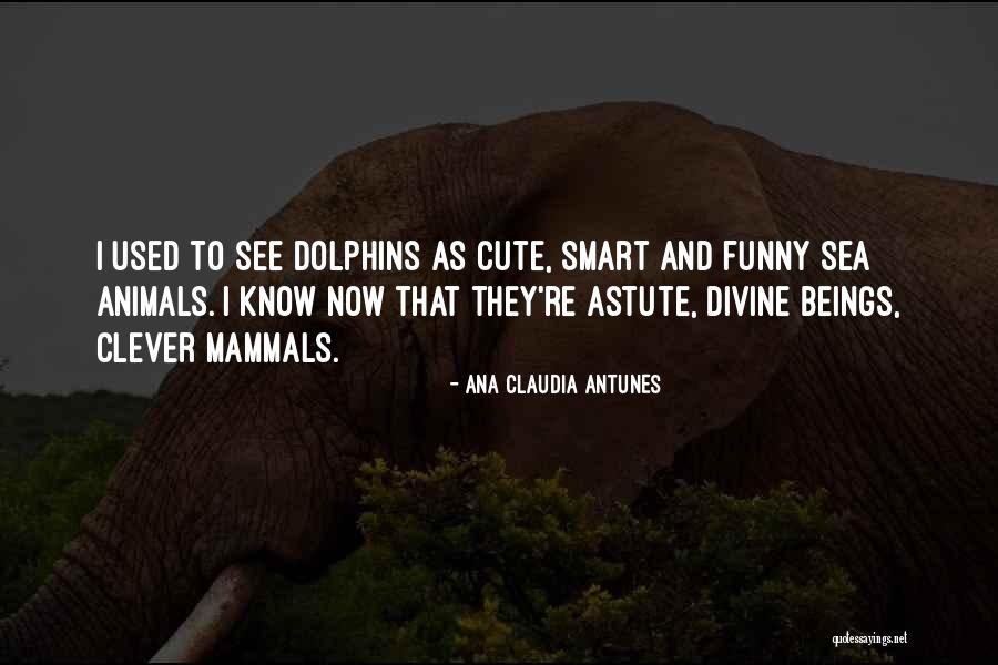 Debelius Reef Quotes By Ana Claudia Antunes Debelius Reef Quotes By Ana Claudia Antunes