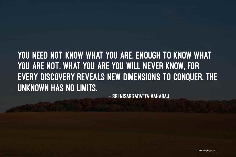 Debemos Llenar Quotes By Sri Nisargadatta Maharaj Debemos Llenar Quotes By Sri Nisargadatta Maharaj