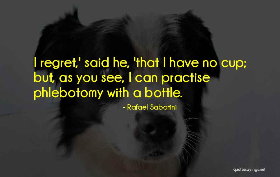 Debenedettos Restaurant Quotes By Rafael Sabatini Debenedettos Restaurant Quotes By Rafael Sabatini