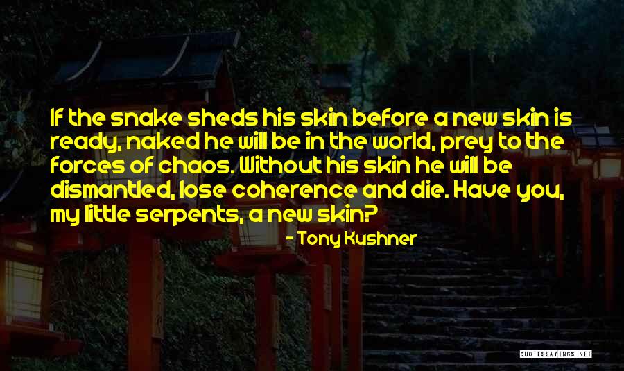 Deberian Definicion Quotes By Tony Kushner Deberian Definicion Quotes By Tony Kushner