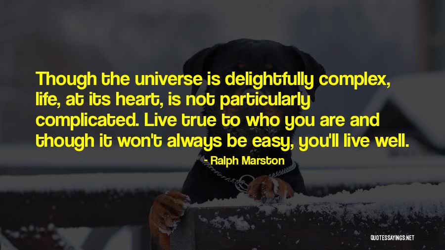 Debey Turner Quotes By Ralph Marston Debey Turner Quotes By Ralph Marston