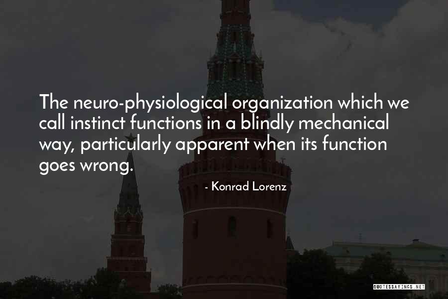 Debilitamiento De Los Musculos Quotes By Konrad Lorenz Debilitamiento De Los Musculos Quotes By Konrad Lorenz