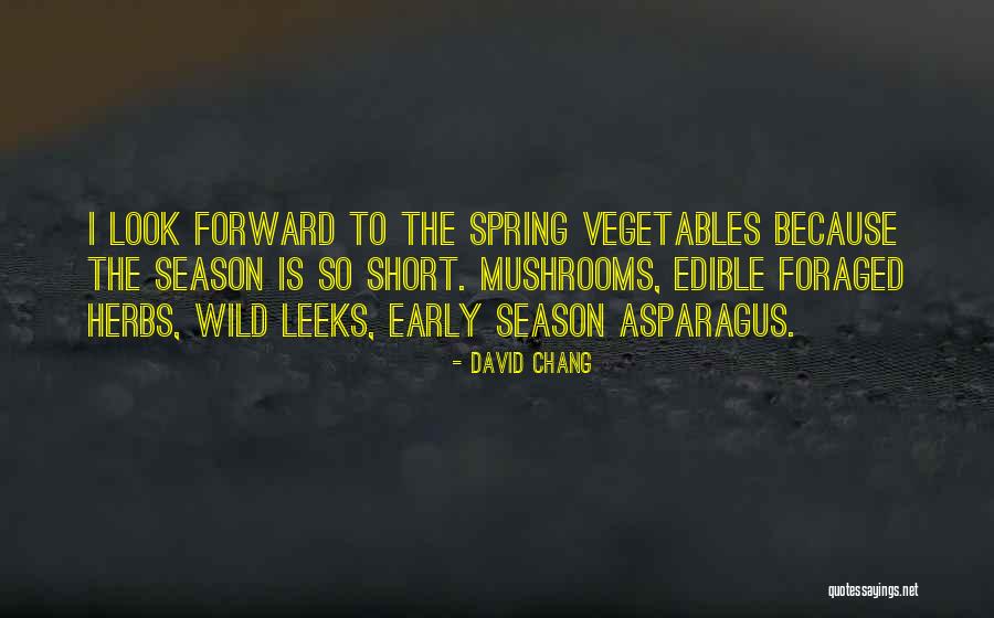 Debility And Weakness Quotes By David Chang Debility And Weakness Quotes By David Chang