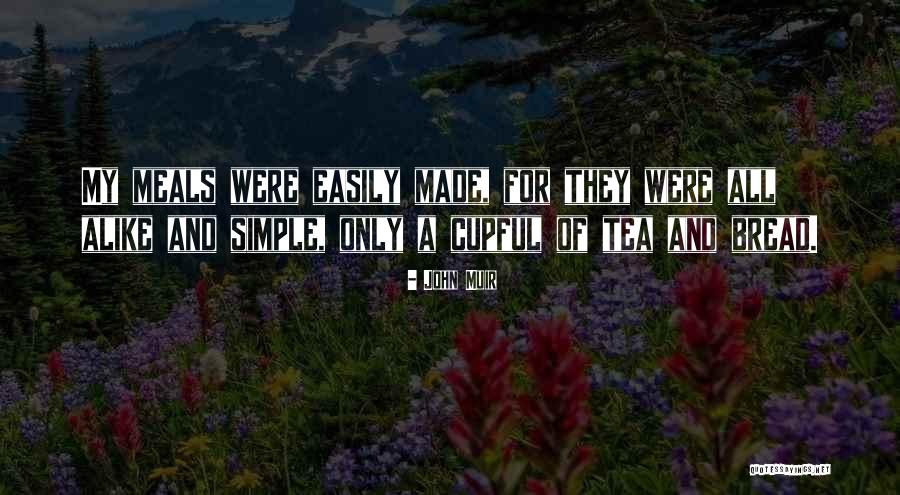 Deboard The Plane Quotes By John Muir Deboard The Plane Quotes By John Muir