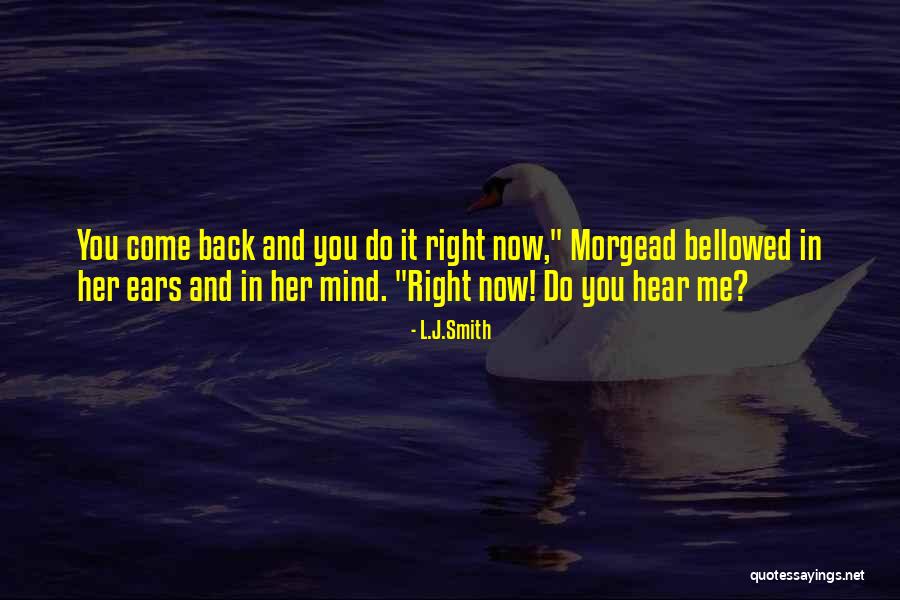 Debojyoti Lahiri Quotes By L.J.Smith Debojyoti Lahiri Quotes By L.J.Smith