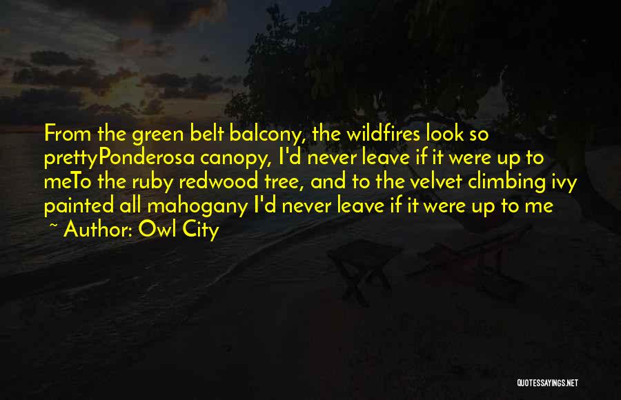 Debola Quotes By Owl City