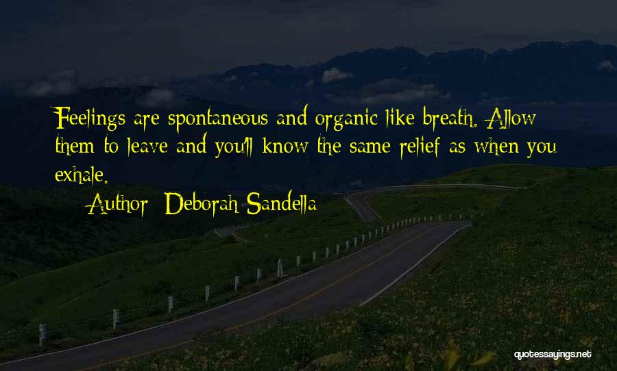 Deborah Sandella Quotes 798472