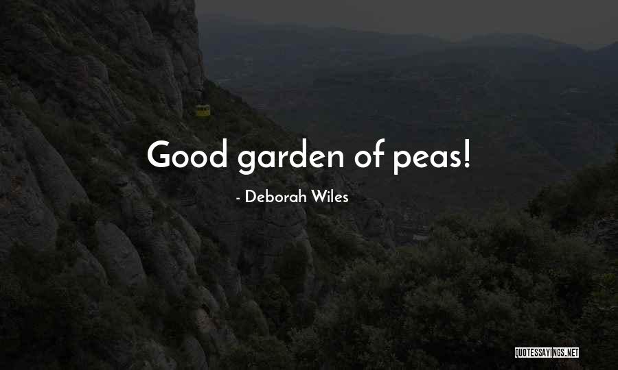 Deborah Wiles Quotes 565551 Deborah Wiles Quotes 565551