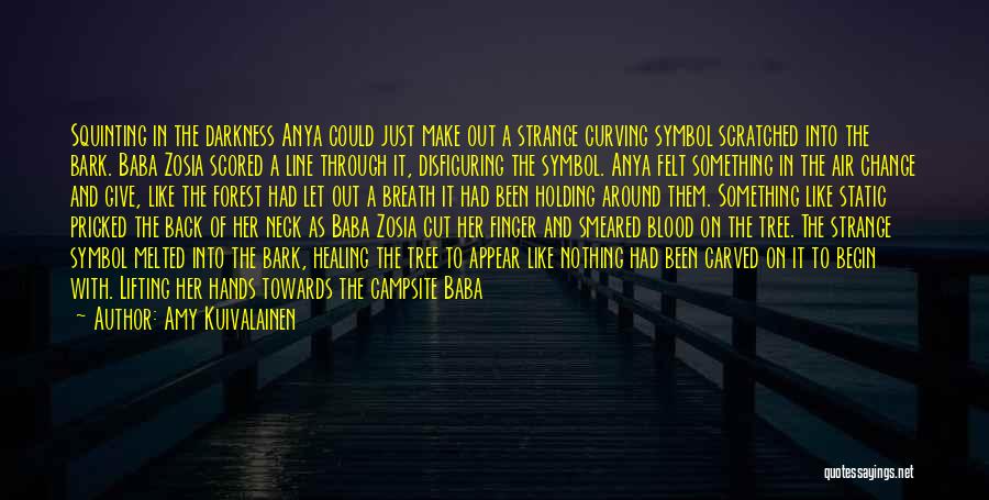 Debris Quotes By Amy Kuivalainen