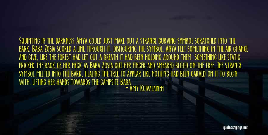 Debris Quotes By Amy Kuivalainen