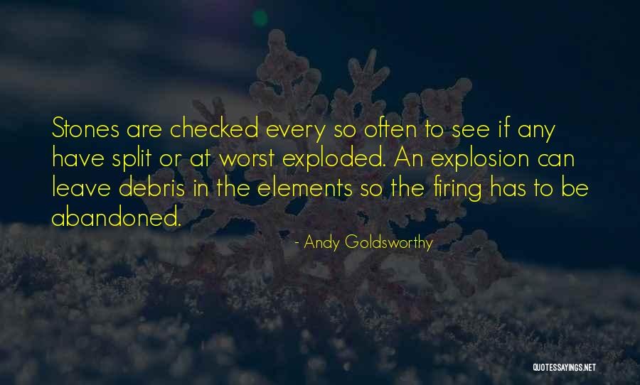 Debris Quotes By Andy Goldsworthy