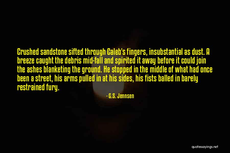 Debris Quotes By G.S. Jennsen