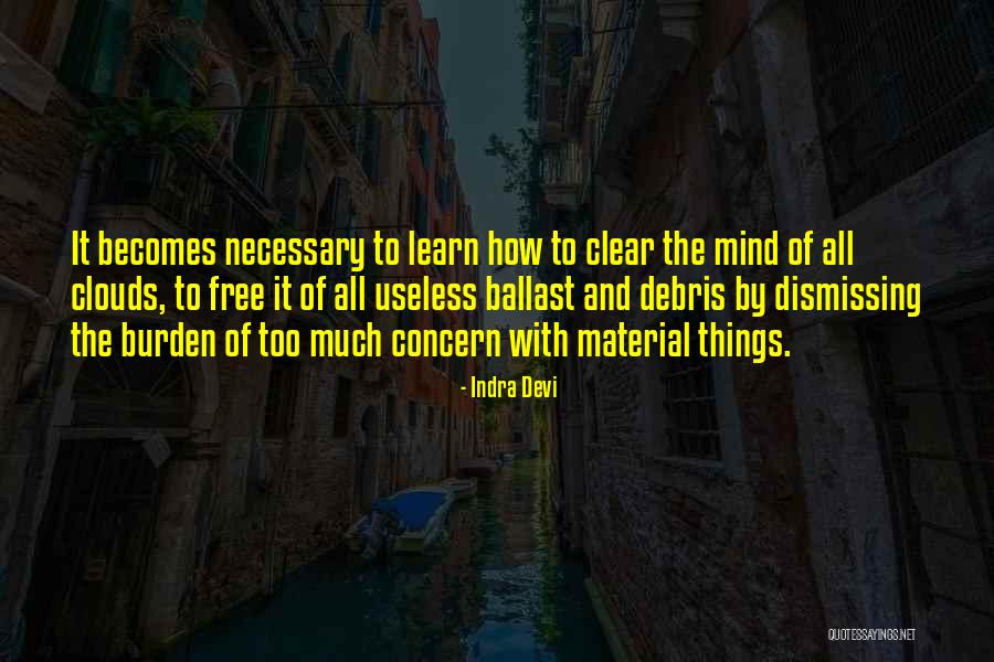 Debris Quotes By Indra Devi