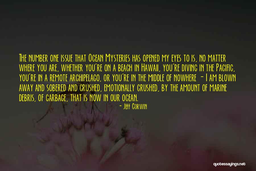 Debris Quotes By Jeff Corwin