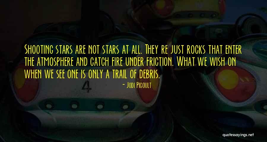 Debris Quotes By Jodi Picoult