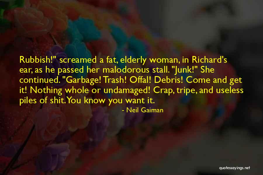 Debris Quotes By Neil Gaiman