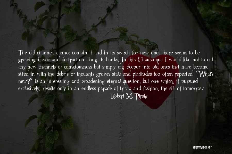 Debris Quotes By Robert M. Pirsig