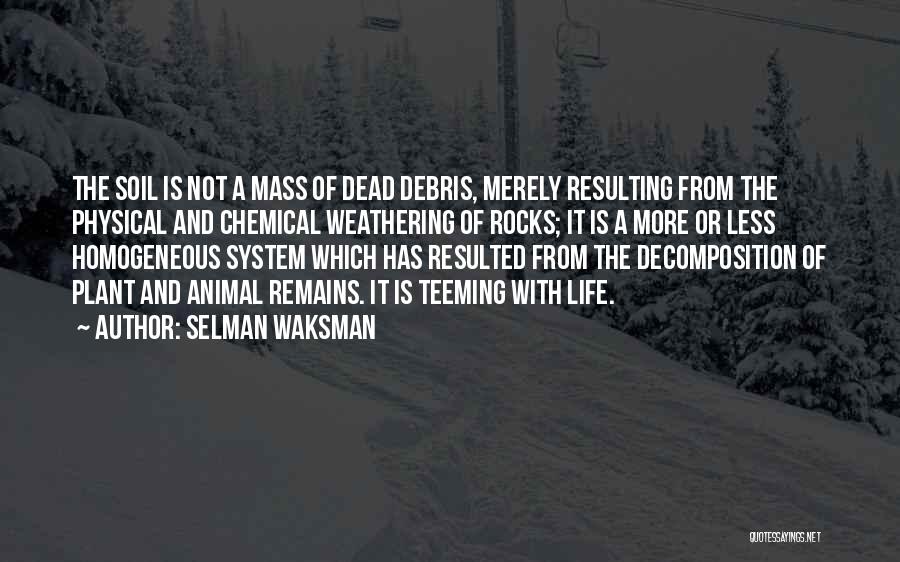 Debris Quotes By Selman Waksman