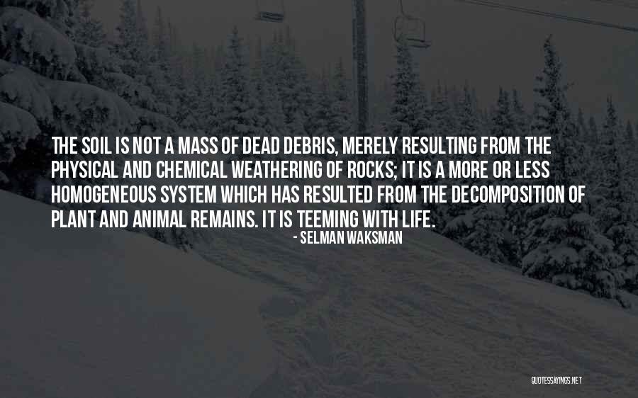 Debris Quotes By Selman Waksman