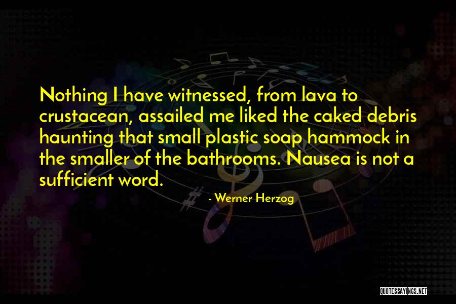 Debris Quotes By Werner Herzog