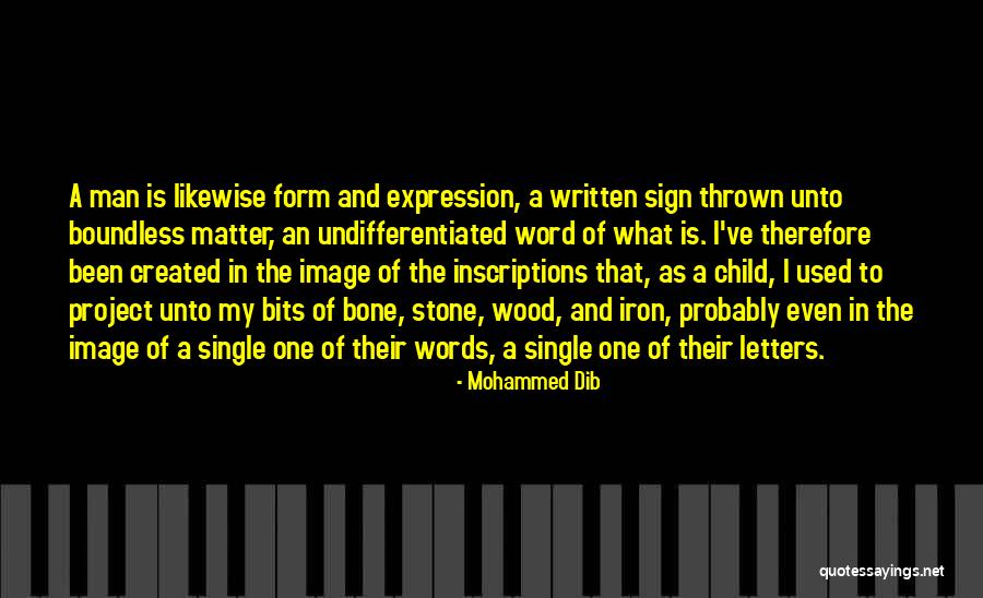 Debruin Electric Quotes By Mohammed Dib Debruin Electric Quotes By Mohammed Dib