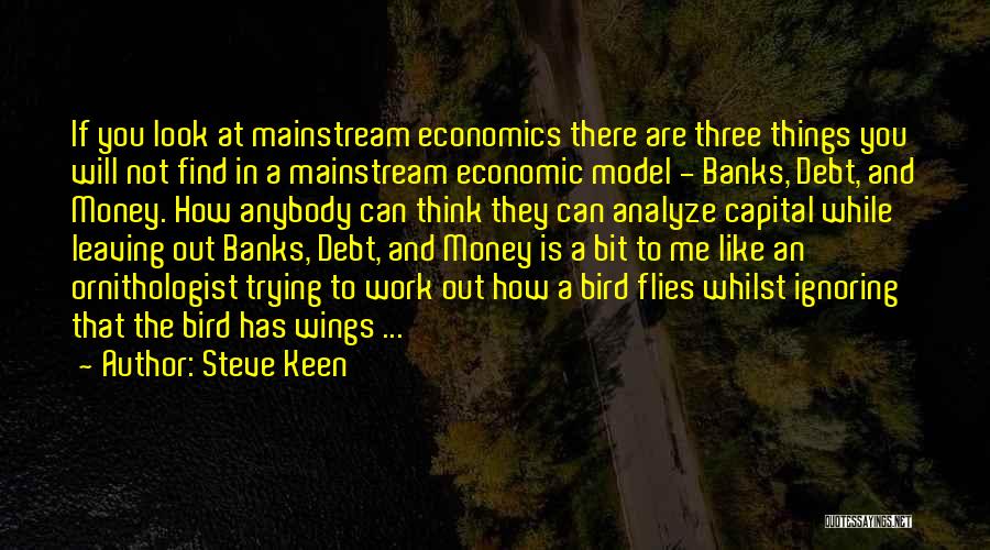 Debt Crisis Quotes By Steve Keen