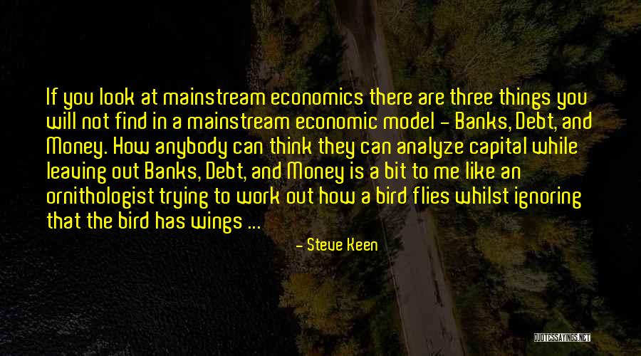 Debt Crisis Quotes By Steve Keen