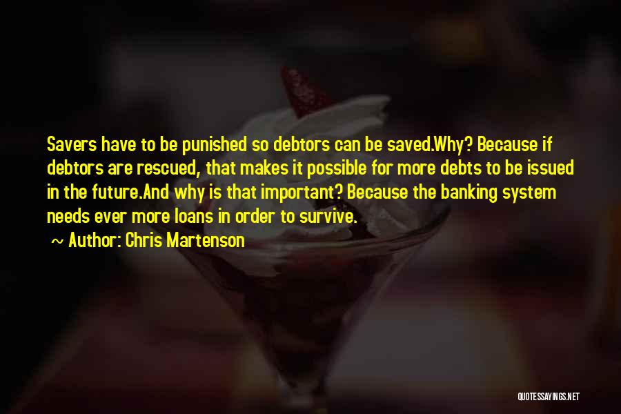 Debtors Quotes By Chris Martenson