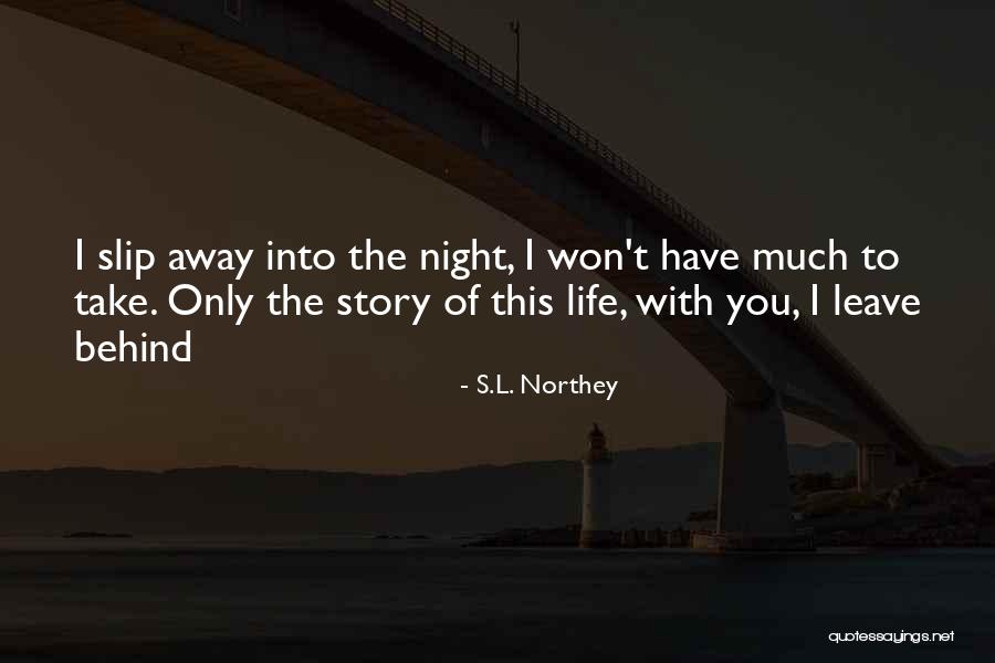Debusschere Shoes Quotes By S.L. Northey Debusschere Shoes Quotes By S.L. Northey