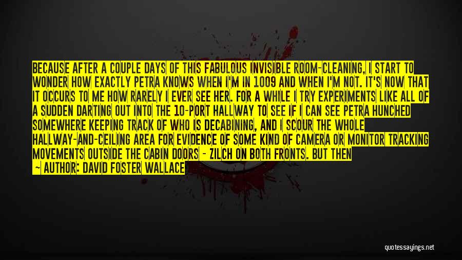Decabining Quotes By David Foster Wallace
