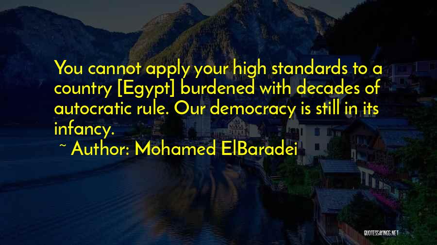 Decades Quotes By Mohamed ElBaradei