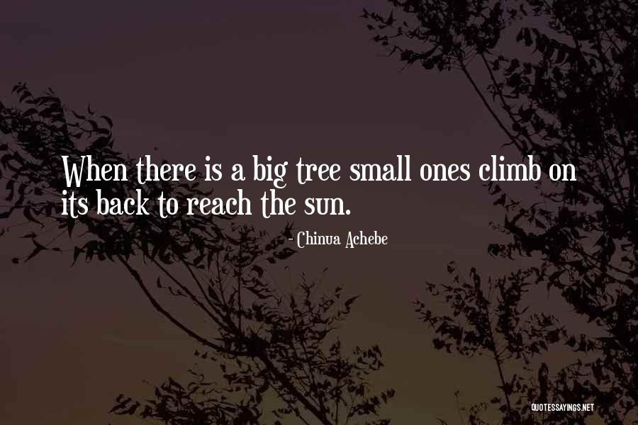 Decaimiento Fisico Quotes By Chinua Achebe Decaimiento Fisico Quotes By Chinua Achebe