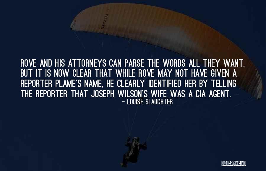 Decapitado Definicion Quotes By Louise Slaughter