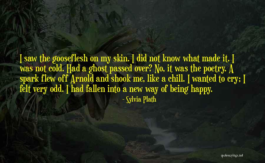 Decapitating Quotes By Sylvia Plath Decapitating Quotes By Sylvia Plath