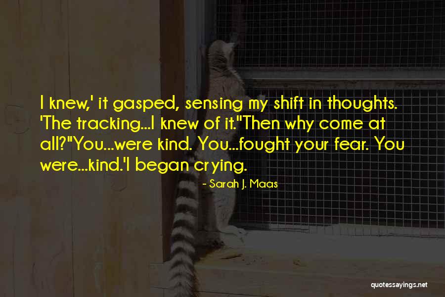 Decastro Injury Quotes By Sarah J. Maas Decastro Injury Quotes By Sarah J. Maas