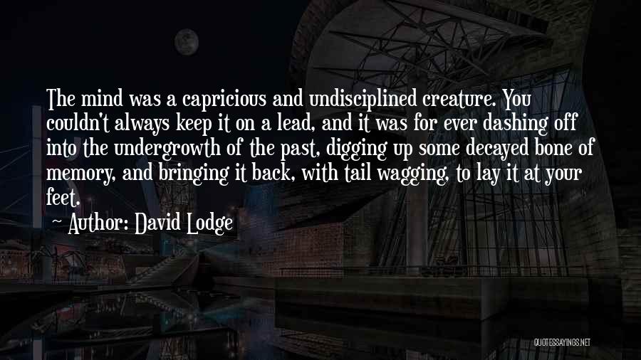 Decayed Quotes By David Lodge