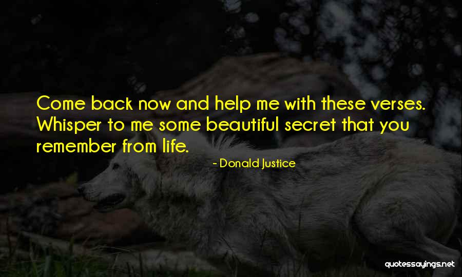 Deceased Dad From Daughter Quotes By Donald Justice Deceased Dad From Daughter Quotes By Donald Justice