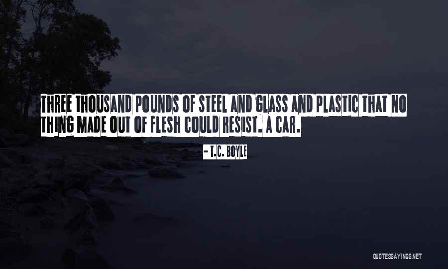Deceitful Liars Quotes By T.C. Boyle Deceitful Liars Quotes By T.C. Boyle