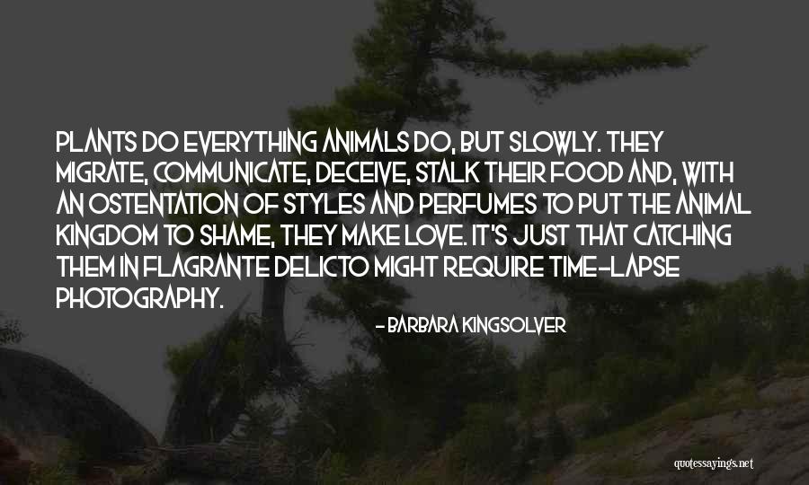 Deceive In Love Quotes By Barbara Kingsolver