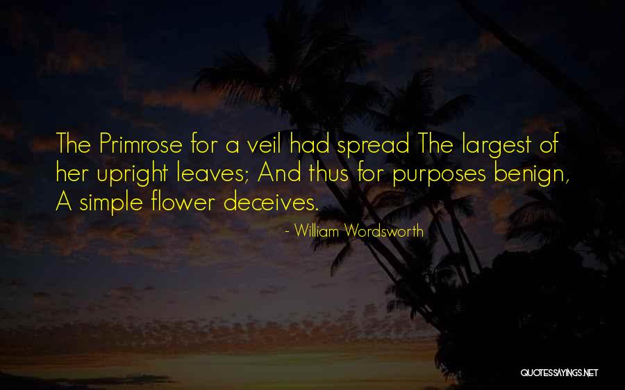 Deceives Quotes By William Wordsworth