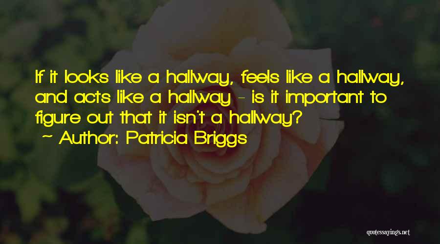 Deceiving Looks Quotes By Patricia Briggs