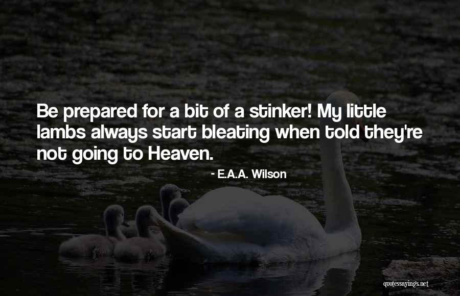 Decelerating To Avoid Quotes By E.A.A. Wilson Decelerating To Avoid Quotes By E.A.A. Wilson