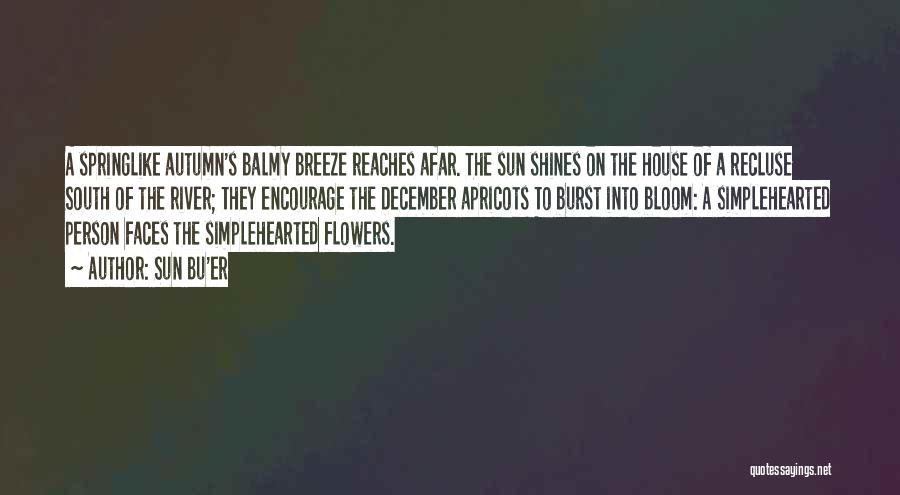 December Breeze Quotes By Sun Bu'er